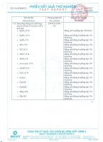 Test Report Epoxy Paint SB 714